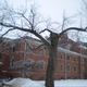 Image for article titled A New Low In College Athlete Assault Cases